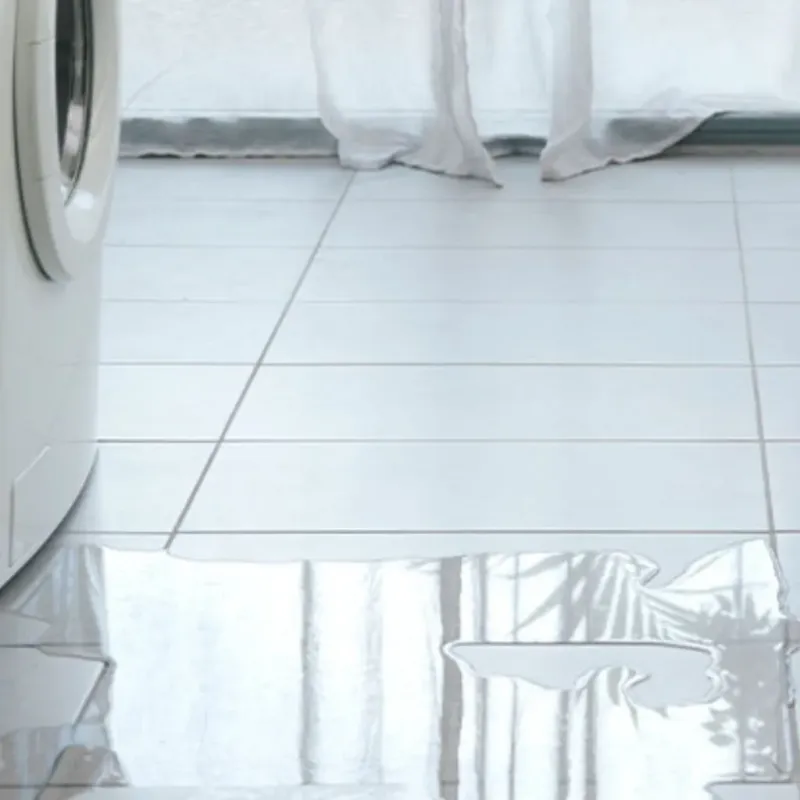 Appliance Leak Cleanup in Sheldon, TX