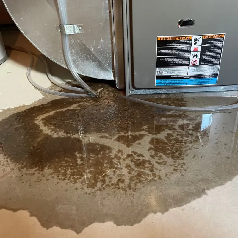 Pipe Burst and Leak Restoration in Sheldon, TX